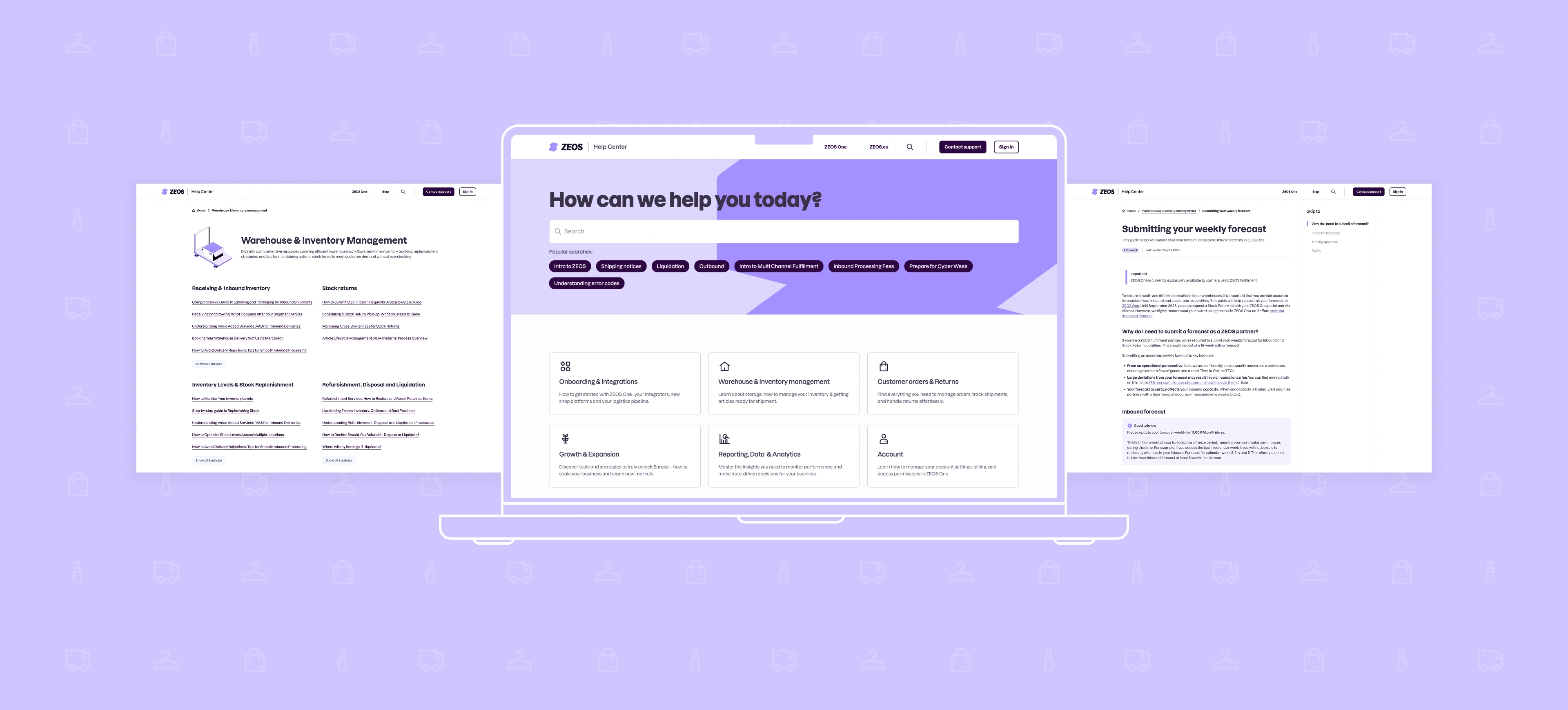 Main project mockup